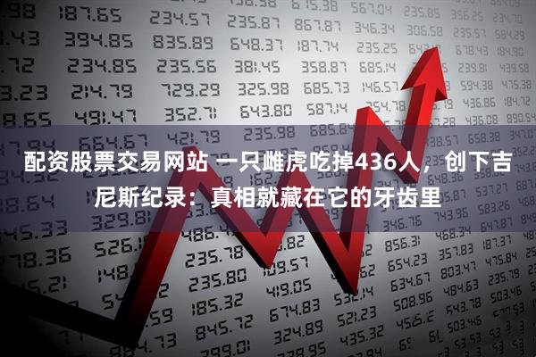 配资股票交易网站 一只雌虎吃掉436人，创下吉尼斯纪录：真相就藏在它的牙齿里